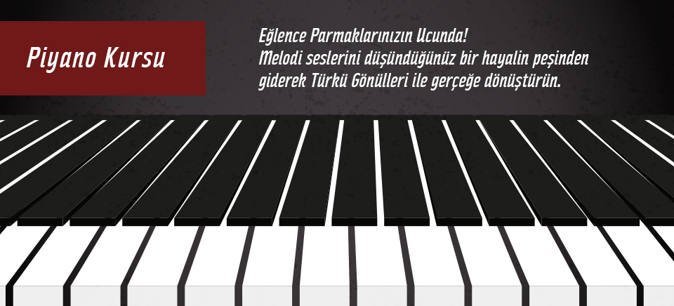Türkü Gönüllüleri